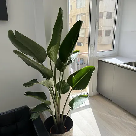 Apartment The Place Tenerife